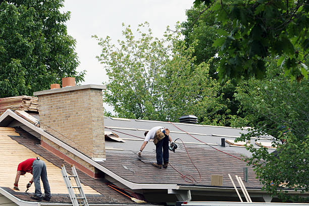 Best Roof Gutter Cleaning  in Newstle, CA
