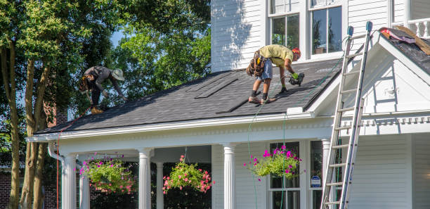 Roof Gutter Cleaning in Newcastle, CA
