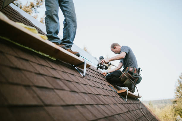 Best Flat Roof Repair Services  in Newstle, CA